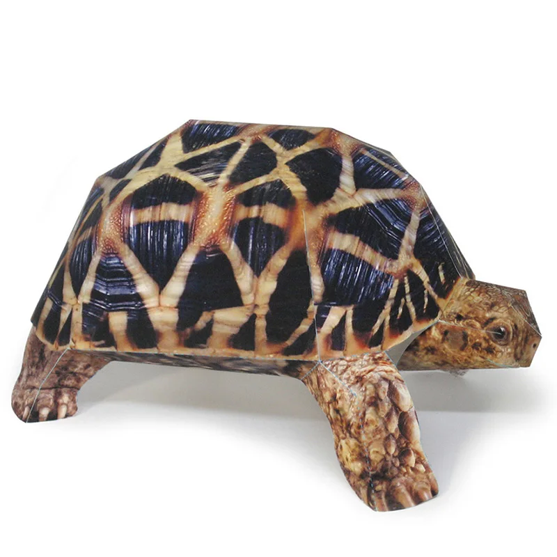 Art Craft Cardboard - インドのスターカメ紙モデル、リアルな動物、ミニ折り紙アート、かわいい3Dペーパークラフト、DIYキッズ、大人の手作りクラフトおもちゃ、私たち-053