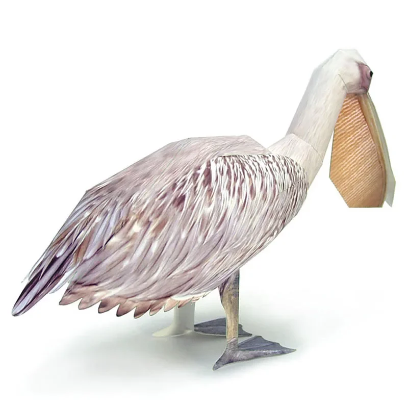 グレートホワイトペリカン鳥紙モデルリアルな動物ミニ折り紙アー - Art Craft Cardboard のレビューと価格